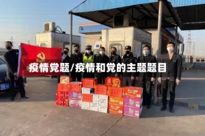 疫情党题/疫情和党的主题题目