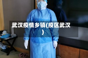 武汉疫情乡镇(疫区武汉)