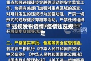 违规发布疫情/疫情违反规定