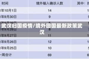 武汉归国疫情/境外回国最新政策武汉