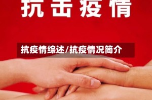 抗疫情综述/抗疫情况简介