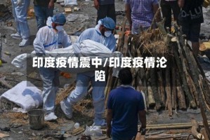 印度疫情震中/印度疫情沦陷