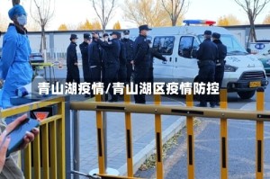 青山湖疫情/青山湖区疫情防控