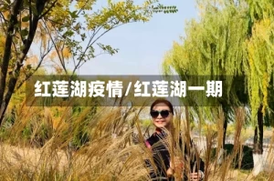 红莲湖疫情/红莲湖一期