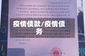 疫情债款/疫情债务