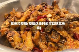 草鱼和疫情(疫情这段时间可以吃草鱼吗)