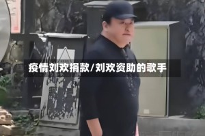 疫情刘欢捐款/刘欢资助的歌手