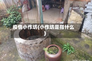 疫情小作坊(小作坊是指什么)