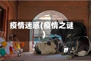 疫情迷惑(疫情之谜)