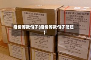 疫情筹款句子(疫情筹款句子简短)