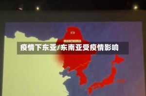 疫情下东亚/东南亚受疫情影响
