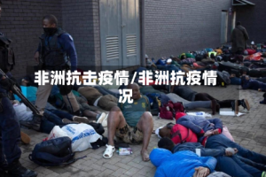 非洲抗击疫情/非洲抗疫情况