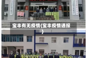 宝丰有无疫情(宝丰疫情通报)