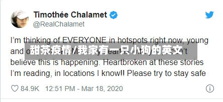 甜茶疫情/我家有一只小狗的英文-第2张图片