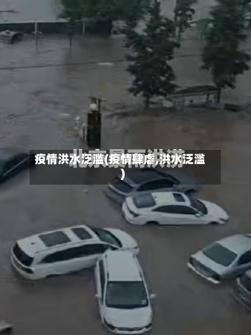 疫情洪水泛滥(疫情肆虐,洪水泛滥)-第2张图片