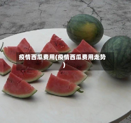 疫情西瓜费用(疫情西瓜费用走势)-第1张图片