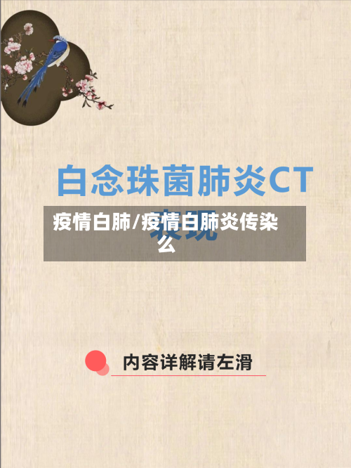 疫情白肺/疫情白肺炎传染么-第1张图片