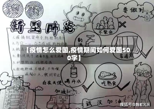 【疫情怎么爱国,疫情期间如何爱国500字】-第3张图片