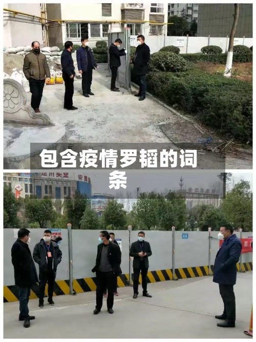 包含疫情罗韬的词条-第2张图片