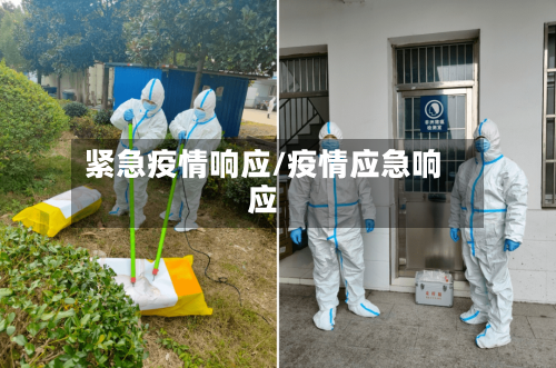 紧急疫情响应/疫情应急响应-第3张图片