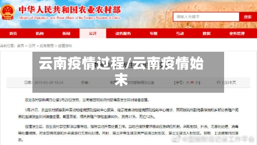 云南疫情过程/云南疫情始末-第2张图片