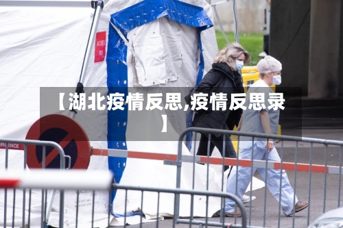 【湖北疫情反思,疫情反思录】-第3张图片