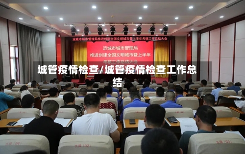 城管疫情检查/城管疫情检查工作总结-第2张图片