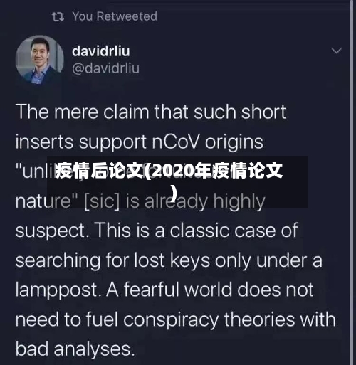 疫情后论文(2020年疫情论文)-第1张图片