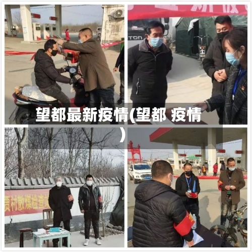 望都最新疫情(望都 疫情)-第2张图片