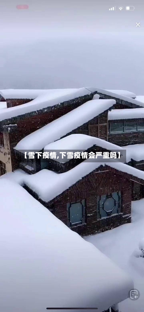 【雪下疫情,下雪疫情会严重吗】-第1张图片