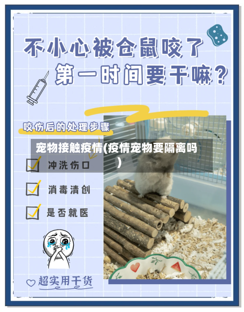 宠物接触疫情(疫情宠物要隔离吗)-第2张图片