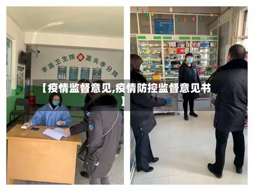 【疫情监督意见,疫情防控监督意见书】-第2张图片
