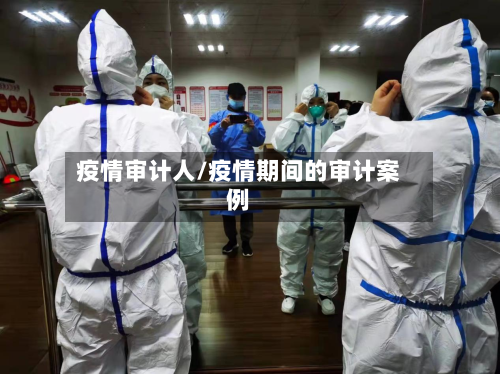 疫情审计人/疫情期间的审计案例-第1张图片