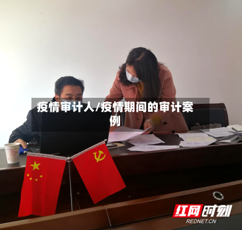 疫情审计人/疫情期间的审计案例-第2张图片