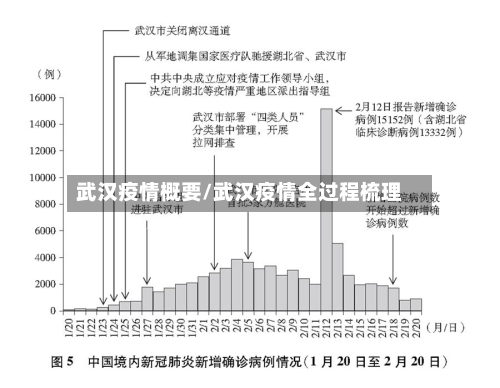 武汉疫情概要/武汉疫情全过程梳理-第3张图片
