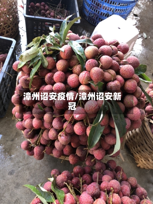 漳州诏安疫情/漳州诏安新冠-第3张图片