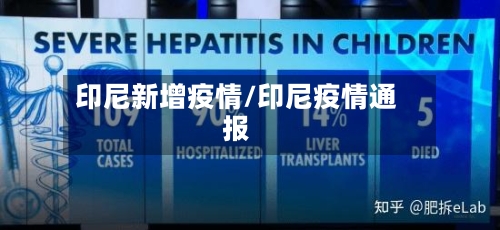 印尼新增疫情/印尼疫情通报-第1张图片