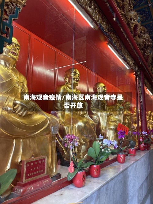 南海观音疫情/南海区南海观音寺是否开放-第1张图片