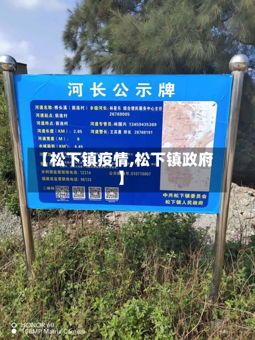 【松下镇疫情,松下镇政府】-第1张图片