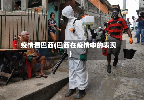 疫情看巴西(巴西在疫情中的表现)-第2张图片