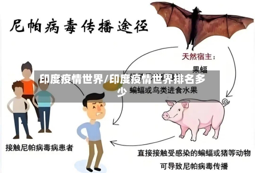 印度疫情世界/印度疫情世界排名多少-第1张图片