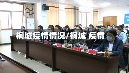 桐城疫情情况/桐城 疫情-第1张图片