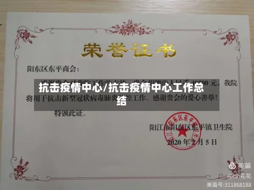 抗击疫情中心/抗击疫情中心工作总结-第2张图片