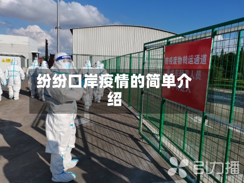纷纷口岸疫情的简单介绍-第1张图片