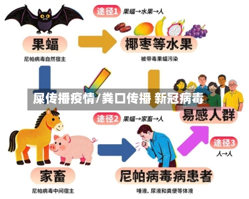 屎传播疫情/粪口传播 新冠病毒-第2张图片