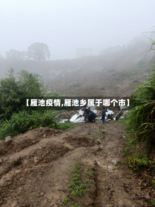 【雁池疫情,雁池乡属于哪个市】-第1张图片