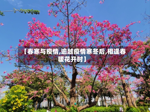 【春寒与疫情,逾越疫情寒冬后,相逢春暖花开时】-第1张图片